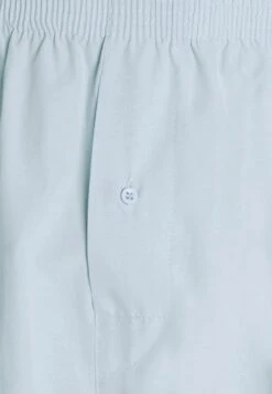 Pier One 5 Pack - Boxershort - Light Blue/White -Modieuze Herenkleding 8d526a81d413439291c57bcecfa7d443